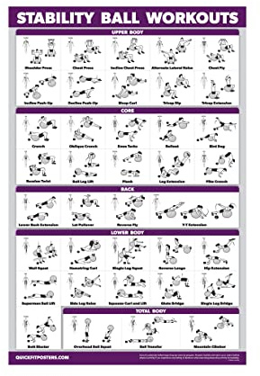 Poster d'entraînement de ballon d'exercice – Routine de ballon de stabilité – Ballon d'équilibre – Laminé – 45,7 x 68,6 cm