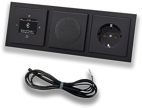 Busch Jäger DAB+ 8217U-101 Future Radio Bluetooth encastrée (dans et en sortie) Noir mat, kit avec haut-parleur, couvertures, prise de courant, cadre + antenne EBROM 0,9 m pour optimiser la réception