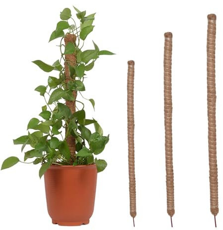 Opilroyn Lot de 10 Tuteurs Flexibles en Mousse de Coco pour grimpantes - 4 Tailles - Train Monstera Philodendron Pothos - pour, Pots de, Jardinage, Plantation