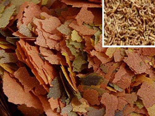 PROREZULT Tropical Fish Food Flakes 25g with ADDED Freeze Dried Bloodworm Premium Floating Flake Feed Mix for All Auarium Fish Cichlid Pleco Discus Tetra Aquarium Feed