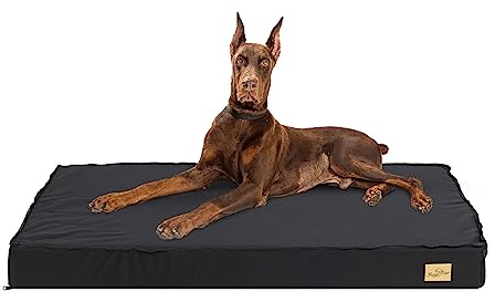 BingoPaw orthopädische Hundematratze Grosse Hunde: Orthopädisches Hundebett Gelenkschonend Hundekissen Matratze Schlafplatz für große mittelgroße kleine Hunde und XXL Hundekäfig 120x75x10 cm