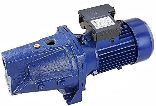Pro-Lift-Montagetechnik 1500W selbstansaugende Wasserpumpe 230V, 180L/min, MJSW/3BLJ, 02021
