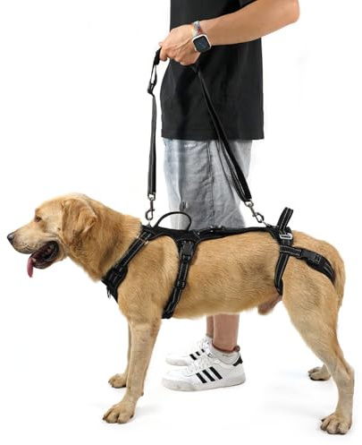 COODEO Imbracatura per Cani, Supporto e Fodera per Passeggio, Gilet di Riabilitazione per Zampe Posteriori, Trasportino per Cani Anziani con Infortuni e Artrite, Aiuto per Salire le Scale. (Nero, S)