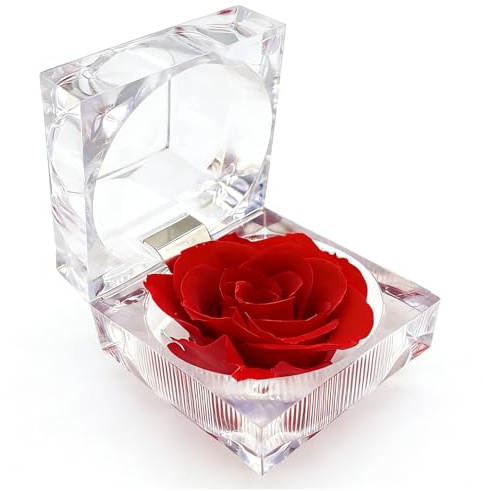 KBSICWO Eternal Forever Rose, Single Red Rose Preserved in Box for Women Mom Girlfriend Grandma, Stocking Fillers Gift for Her His on Valentine’s day Christmas Birthday Anniversary Mother’s Day