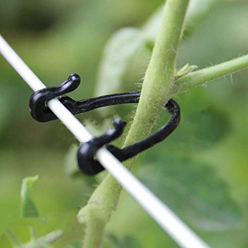 condinggen 100PCS Kunststoff Reben Clip Verschluss Gebundene Schnallen Set Gartenpflanzen Stützclips Gemüse Festhaken Pflanzenschlösser für Blumen Tomaten Reben Gemüse Anbauset Gewächshauszubehör