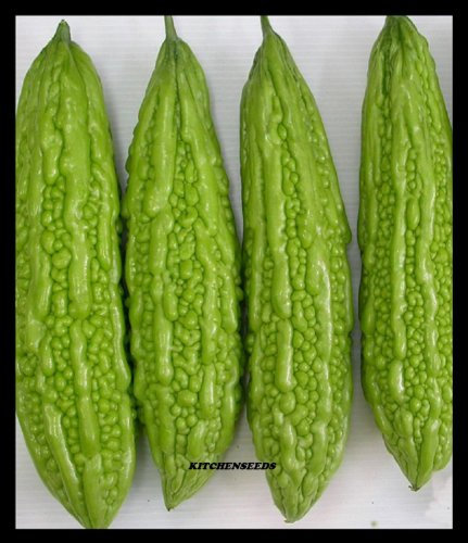 Mara cinese zucchina amara Melone Goya-Niga-Reishi, Tsuru Reisha 15 Semi