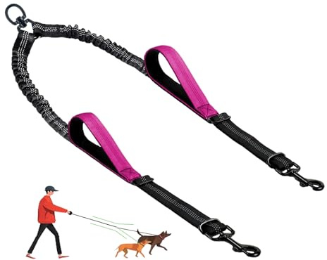 LEOSASA Double Dog Leash - No Tangle Splitter for Two Dogs, Coupler with Adjustable Long Lead Rope, Dual Control Handles, Retractable No Pull Bungee, Walk Train Small Medium Large 2 Pets (Fuchsia)