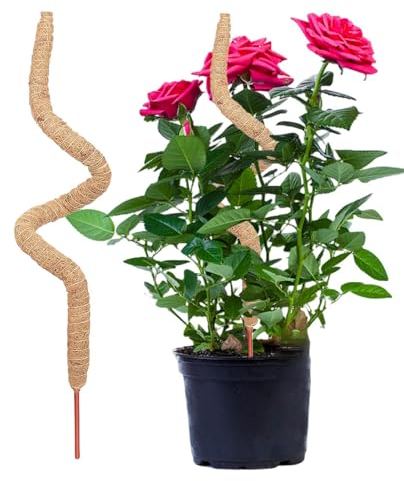 Pflanzenmoos – Kokosstäbchen, Pflanzenwachstum, Indoor-Moosstäbchen, Kokosfaser-Totem für Kletterpflanzen, Stützverlängerung, Klettern für Garten, Heimpflanzen, 100/110/120 cm
