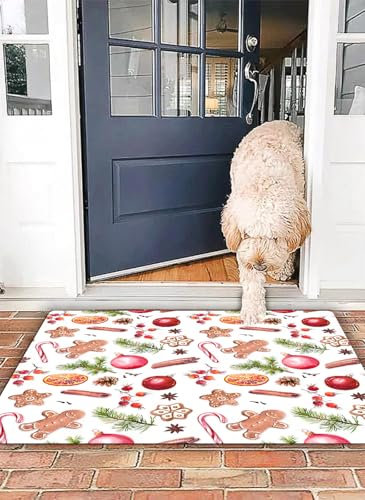 OHJEAJDS Badezimmerteppich rutschfest Badematte 40x 60 cm,Badteppich Saugfähig Weich Maschinenwaschbar für Badezimmer,Weihnachtskugeln, Lebkuchen, Fichtenzweige, rote Beeren, Zimt, Zuckerstange, Ora
