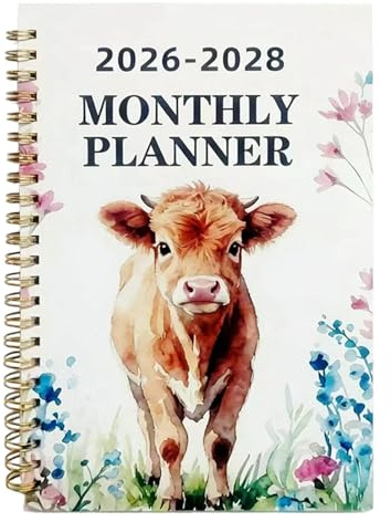 Calendario planner | Organizzatore di pianificazione agenda, diario mensile, per insegnanti, studenti, università, scrivania, lavoro, ufficio, casa e pianificazione aziendale