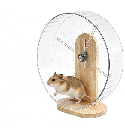 Hamsterhjul i akryl, husdjursträning, hjulset, 24 x 25 x 20 cm klart löpsystem med stabil stativdesign, hållbar fitnessenhet för små djur, dvärgsyriska livsmiljöhjul för användning