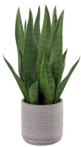 Briful - Pianta artificiale Sansevieria, altezza 40 cm, in vaso di cemento