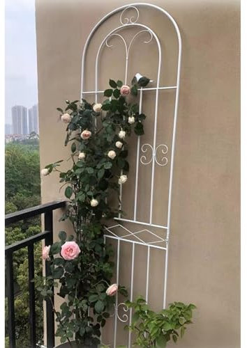 Grand treillis de jardin blanc pour plantes grimpantes, fleurs et vignes, décoration extérieure arquée avec oiseaux, idéal pour pelouse, jardin et arrière-cour, 220 x 50 cm