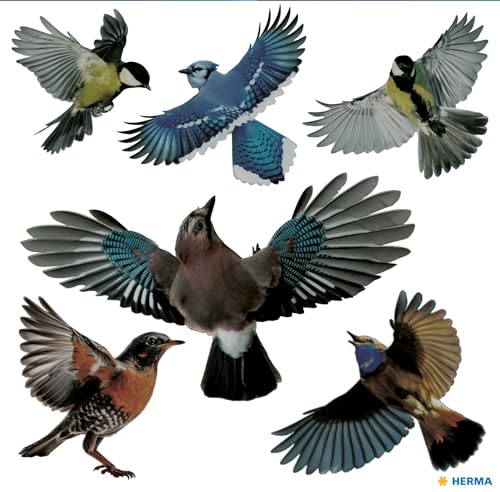 HERMA 15539 - Juego de pegatinas para ventanas de pájaros de advertencia grandes, 30 unidades, 30 x 30 cm, autoadhesivas, extraíbles y reutilizables, protección contra pájaros para ventanas, de