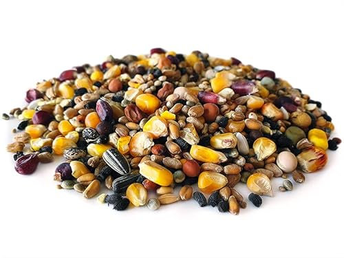 Tigernuessekaufen.de Taubenfutter 20KG | Karpfen Futter