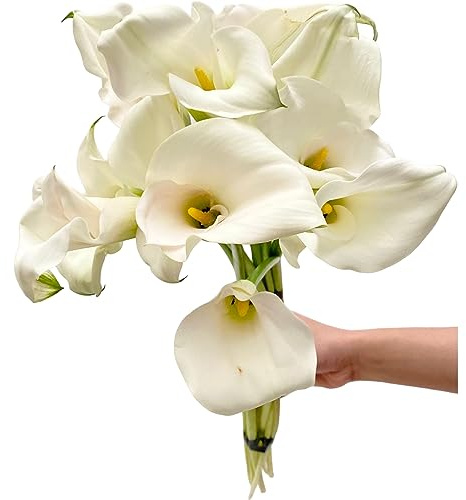 10 White Calla Lilies Fresh Cut Flower Los Angeles Flower Market Birthdays Anniversaries Friendship and Love Gifts Flower Arrangements