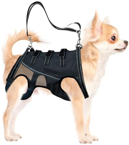Gsrhzd Imbracatura per Cani, Pettorina Cane Taglia Media, Comodo Traspirante Imbracatura Cane Zampe Posteriori, per Cani Anziani o Feriti, M