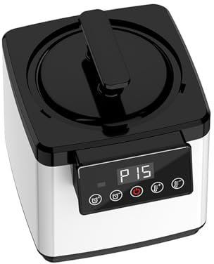 JOJIDE Sauna de Vapor, Izador eléctrico del generador de, Terapia del SPA de la Sauna del Barril del hogar de 2.5L 1000W for el baño,para Sauna doméstica