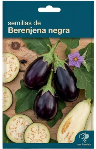 Disfruta la Berenjena Negra en Casa – Semillas DECOALIVE para Jardinería Doméstica y Verano