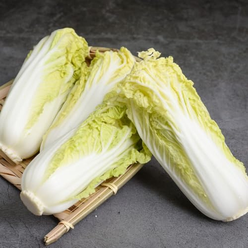 Semi di Pak Choi, da balcone resistenti Semi di cavolo cinese biologici, resistenti per il giardino da appartamento 550pcs