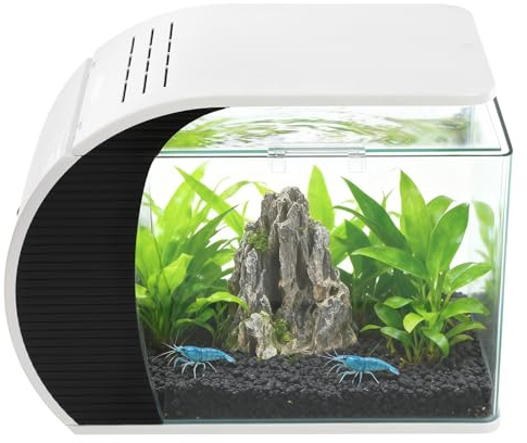Set completo per acquario nano da 19 l, in vetro, con illuminazione a LED, filtro integrato e pompa dell'acqua, con coperchio, 3 modalità di luce, per piccoli gamberetti, ufficio, soggiorno