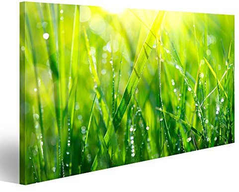 islandburner Bild Bilder auf Leinwand Gras. Frisches grünes Frühlingsgras mit Tau lässt Nahaufnahme fallen Wandbild, Poster, Leinwandbild KXQ