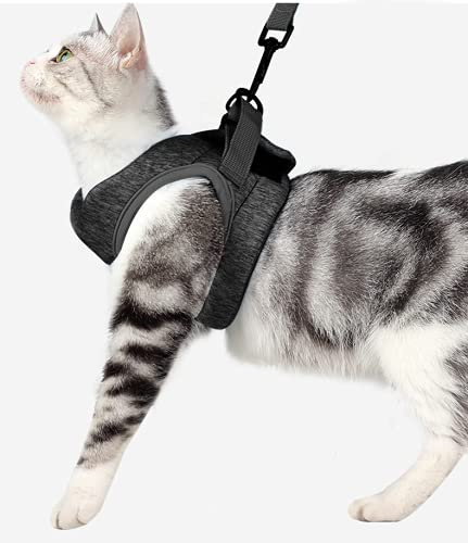 Crea CLEA- Pettorina per gatti ultra leggera e confortevole,con guinzaglio. (M, Nero)