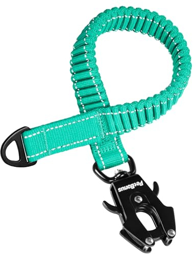 PetBonus bungee koppelförlängare, 45 cm stötdämpande koppelförlängare, kraftigt fäste för medelstora till stora hundar, reflekterande nylonkoppelförlängare för promenad, löpning, cykling (turkos) | Snabb frigöring, kraftig medium stor hundkoppel, reflekterande, nylonförlängare för promenader löpning cykling, turkos