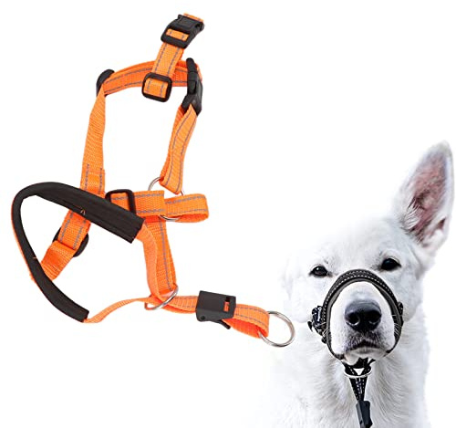 Cocoarm Collare per Testa per Cani, Cavezza Regolabile per Cani in Nylon Traspirante, Fascia Bocca Comoda per Controllo del e Prevenzione della Tirata (L)