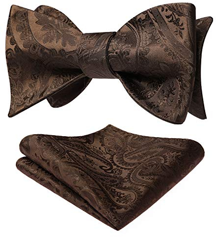 HISDERN Fliege Herren Set Braun Fliegen mit Einstecktuch Formale Klassische Paisley Verstellbar für Bräutigam Hochzeit Party Fasching