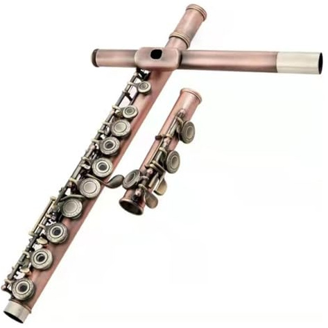 tvärflöjt instrument Nybörjarflöjt 16-hålsflöjt Professionellt musikinstrument