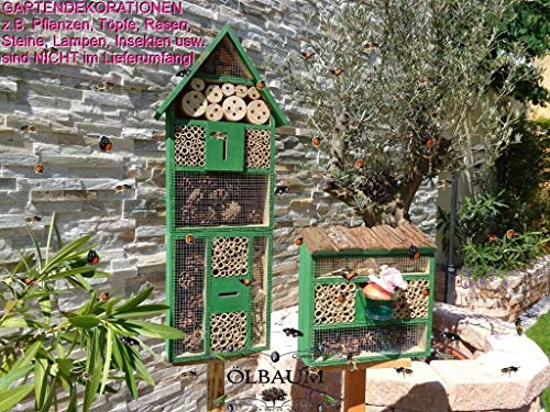 Ölbaum XXL 2 x Bienenhotels, Spitzdach groß, Flachdach Insektenhaus + Bienenhaus mit Bienentränke, insektenhotel, GRÜN