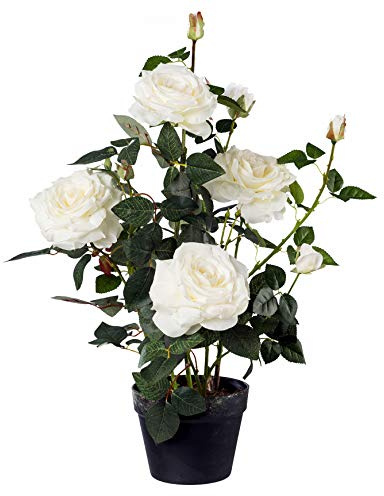 Gasper Konstgjord växt rosenstock i plastkruka, färg: Vit, höjd: 68 cm, 3019010–40