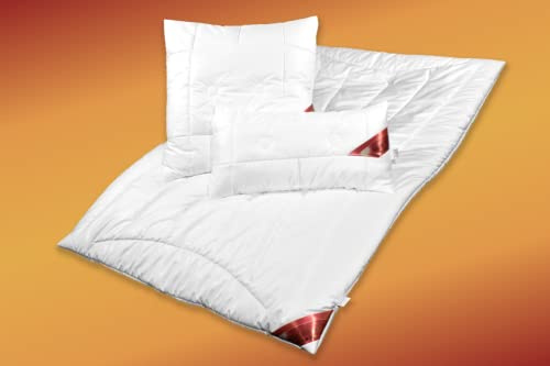 Garanta Kamelhaar-Leicht-Steppbett Stärke Leicht Größe 155x220 Bezug: 100% Baumwolle/Füllung: 100% Kamelhaar