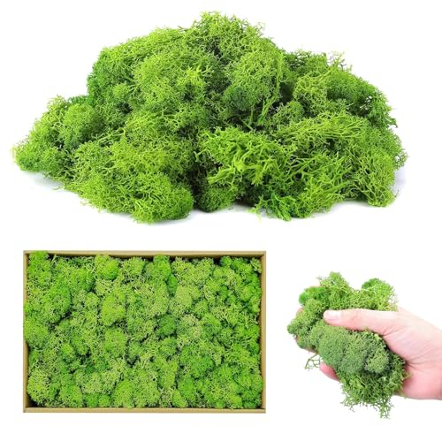 Forhome Islandmoos zum Basteln, 200g Moos Natur Konserviert, Künstliches Moos Deko, Wiederverwendbare Moosblätter, Moos zum Basteln für schöne Weihnachtsdekoration oder Blumenarrangements