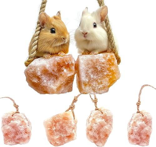 Himalayan Small Pets Salt Lick - 6 Count Natural Mineral Salt Chew Toys with Rope - Rabbit Toys Bunny Treats for Guinea Pig Rabbits Bunny Ferrets