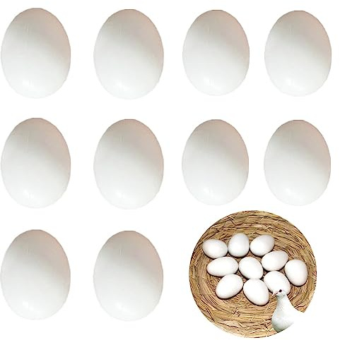 Pleenild 10 Pieces White Fake Eggs Solid Plastic Fake Pigeon Eggs Parrot Bird Eggs For Pigeon Birds DIY Easter Crafts
