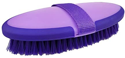 York Kardätsche Axel Striegel Fellglanzbürste für Pferde (Lila)