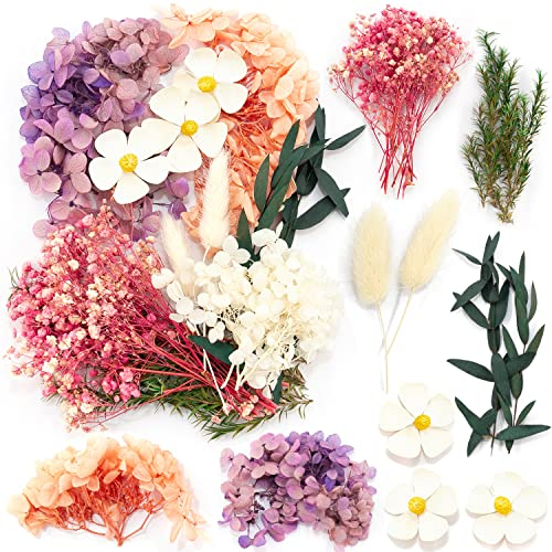 iDattel Natürliche Getrocknete Blumen,Blumen Natürliche Gemischte,DIY Natürliche Getrocknet Blumen Set für Kunst Basteln DIY Harz Scrapbooking Handwerk Karten Machen(Rosa weiße Rose