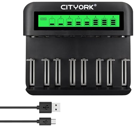 CITYORK Cargador de batería Adecuado para batería AA AAA C D con Entrada Micro-USB y Tipo C Carga rápida, detección automática, función de protección contra sobrecarga (la Apariencia Puede Variar)
