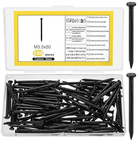 100 Pcs Clou à Image, Clou Beton, Assortiment de Clous en Acier, Clous Muraux, Clous en Béton, Clous pour Tableaux, Clous pour Accrocher Tableaux Cadres Photo Béton Brique Bois (50 mm, Noir)