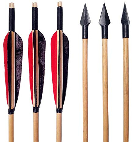 SHARROW 6pcs Tir à l'arc Flèches de Bois Flèches de Chasse Traditionnelles Arbre de Flèche en Bois avec 5 Plumes Naturelles et Métal Pointe de Flèche (Type 2)