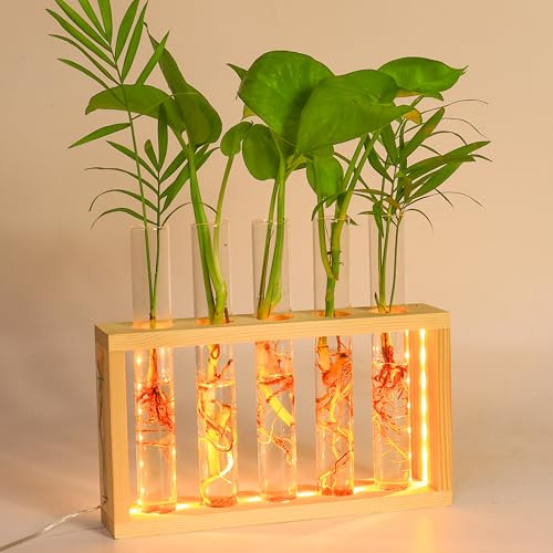 Blumenvasen Wand hängende Pflanze Vase mit hölzernen Stand Wandbehang Glas Pflanzgefäße Glas Pflanzer Reagenzgläser Vase für Stecklinge Knospen hydroponische Pflanzen Home Office Decor (Holzfarbe)