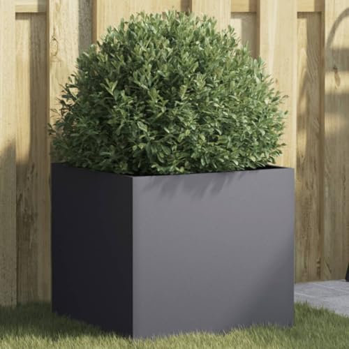 LAPOOH Jardinera de Acero Laminado en frío Antracita 42x40x39 cm, Huerto Urbano Terraza, Jardineras Exterior, Jardineria Maceteros, Mesa De Cultivo, Huerto En Casa - 841551