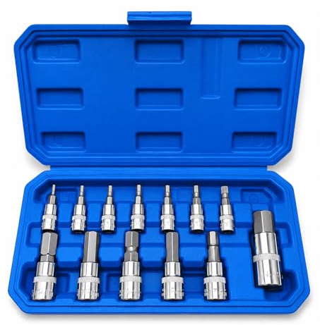WIYETY Set di 13 chiavi a bussola esagonali interne: set di chiavi esagonali da 1/2 3/8 1/4 pollici, cromo vanadio, set di prese Allen da 2-14mm con scatola di conservazione, per manutenzione di