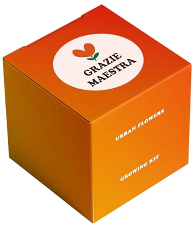 Kit Coltivazione Fiori “Grazie Maestra” con Bomba di Semi a Forma di Cuore – Regalo Originale per Insegnante – Papavero Lavanda Margherita – Facile da Coltivare in Casa