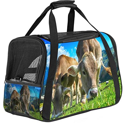 Portabagagli per animali domestici Mangiare Erba Trasportatori da viaggio per animali domestici Corgi, gatti, cani, cuccioli, portatile, pieghevole, approvata dalla compagnia aerea