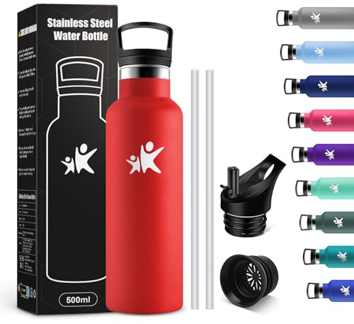 KollyKolla Bottiglia Termica Bambini 500ml, Borraccia con Cannuccia, a Prova di Perdite, senza BPA, Borraccia Termica a Doppia Parete, Facile Pulizia, per Bambini, Sport, Palestra, Viaggio, Gym