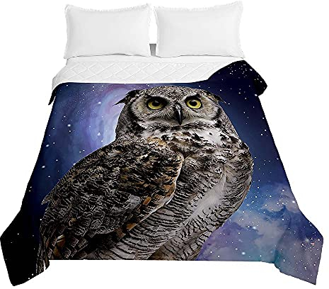 Chickw1 Tagesdecke Bettüberwurf Steppdecke, 3D Eule Drucken Tagesdecken mit Präge Wohndecke aus Mikrofaser Gesteppt Bettdecke für Einzelbett Doppelbett (Stern,220x240cm)