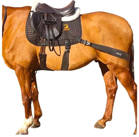 Equine Balance Bands Sistema de banda equina - Ayuda de entrenamiento central para caballos, almohadilla de sillín y sistema de equivalencias (pony)
